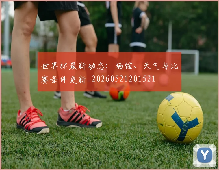 世界杯最新动态：场馆、天气与比赛条件更新_20260521201521