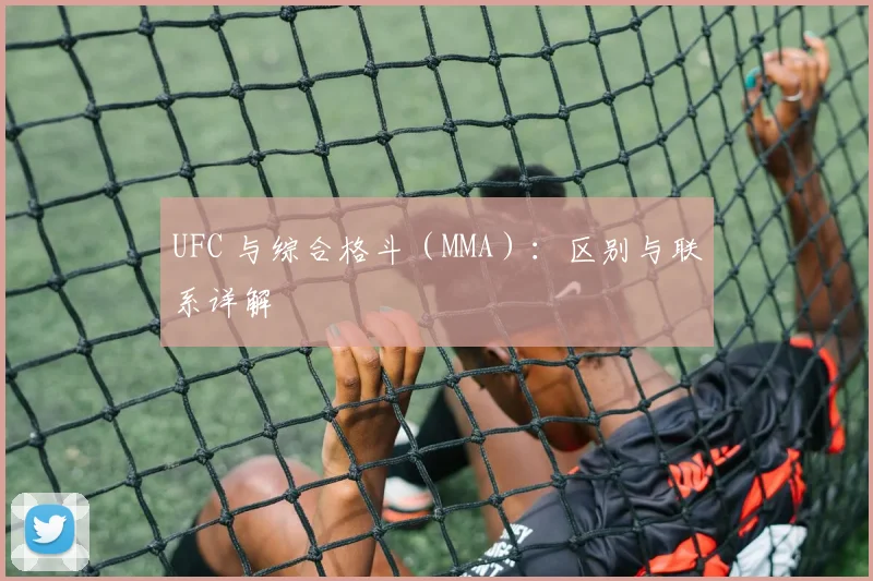 UFC 与综合格斗（MMA）：区别与联系详解